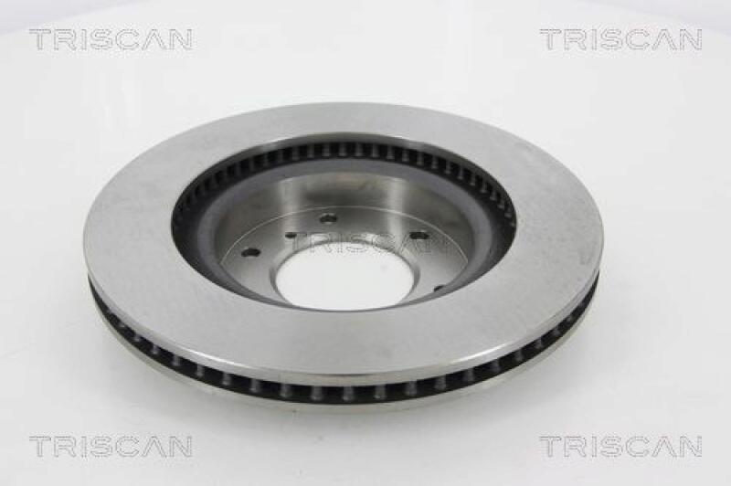 2x TRISCAN Brake Disc