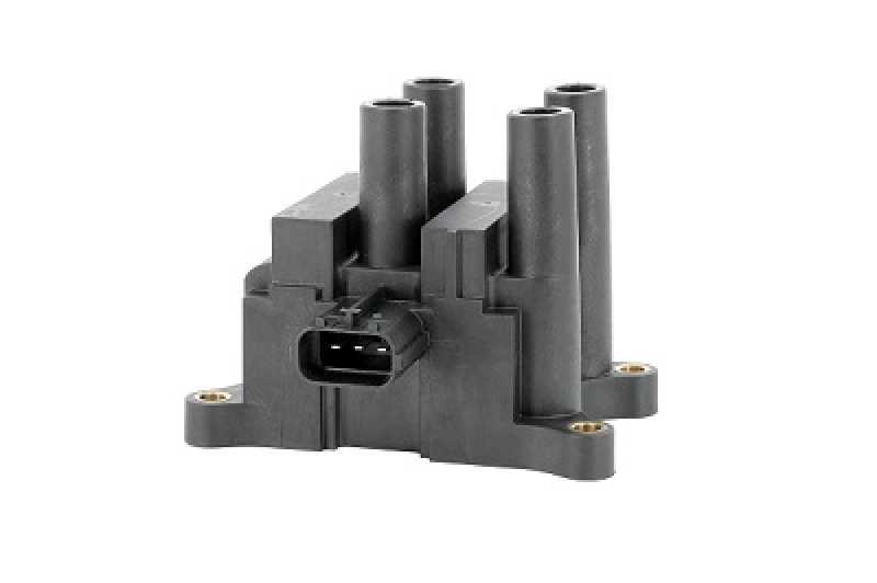 BorgWarner (BERU) Ignition Coil