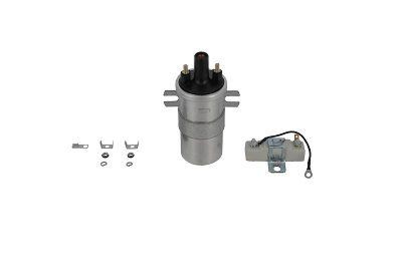 BorgWarner (BERU) Ignition Coil