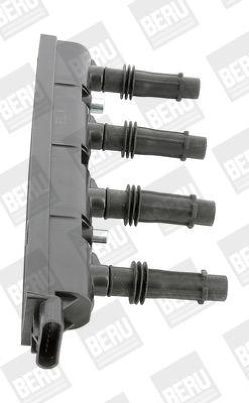 BorgWarner (BERU) Ignition Coil