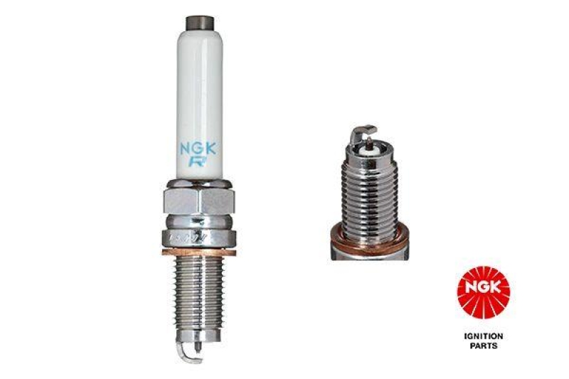 NGK Spark Plug