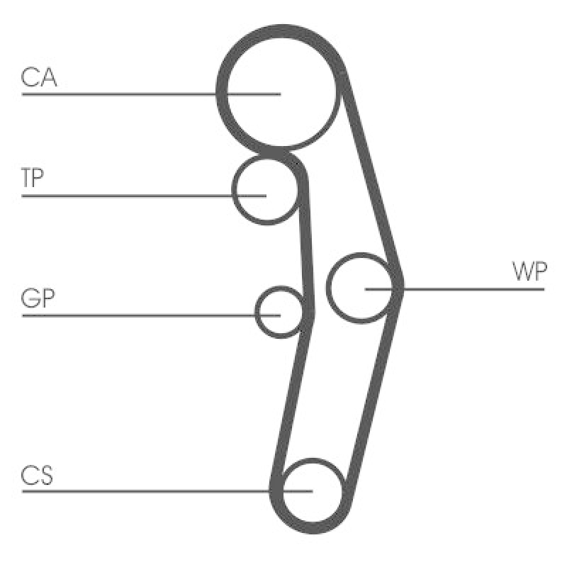 CONTINENTAL CTAM Wasserpumpe + Zahnriemensatz