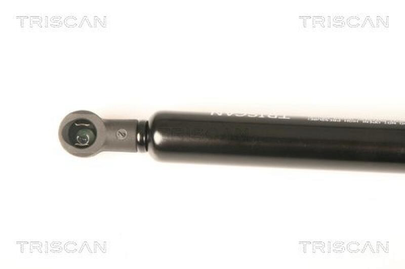 TRISCAN Gas Spring, boot-/cargo area