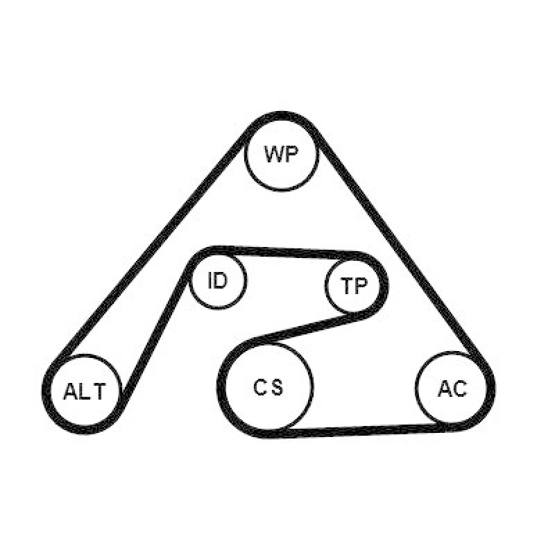 CONTINENTAL CTAM Keilrippenriemensatz