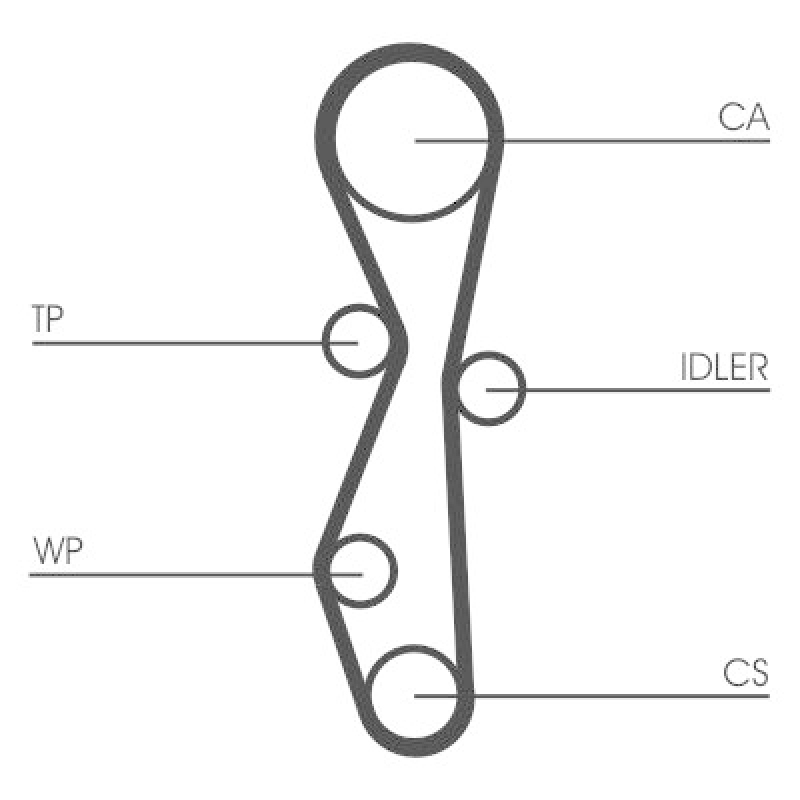 CONTINENTAL CTAM Water Pump & Timing Belt Set