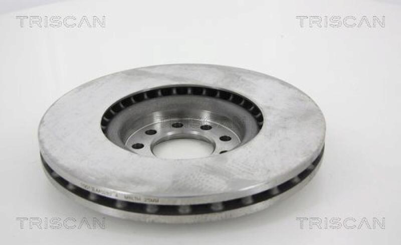 2x TRISCAN Brake Disc