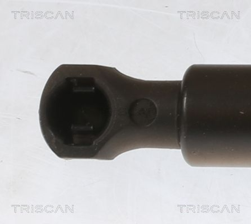 TRISCAN Gas Spring, boot-/cargo area