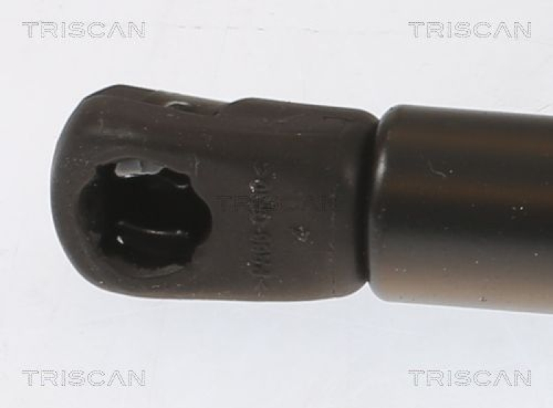 TRISCAN Gas Spring, boot-/cargo area