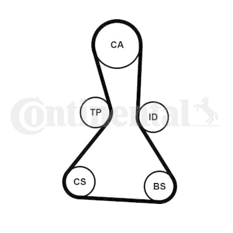 CONTINENTAL CTAM Zahnriemen