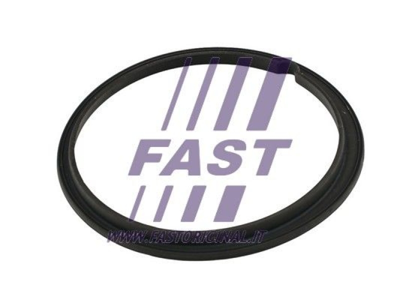 FAST Seal, fuel sender unit