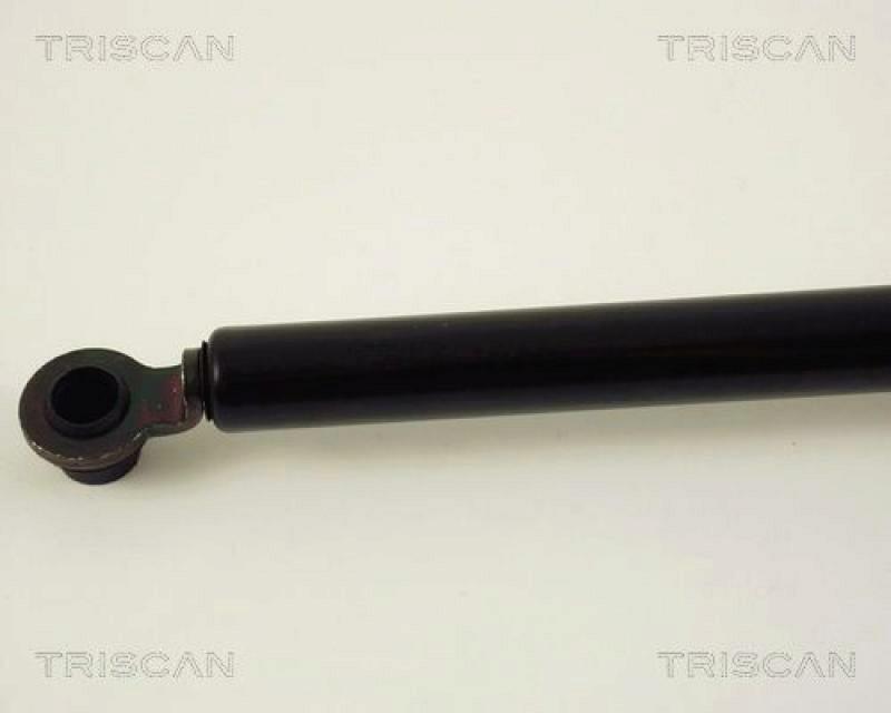 TRISCAN Gas Spring, boot-/cargo area