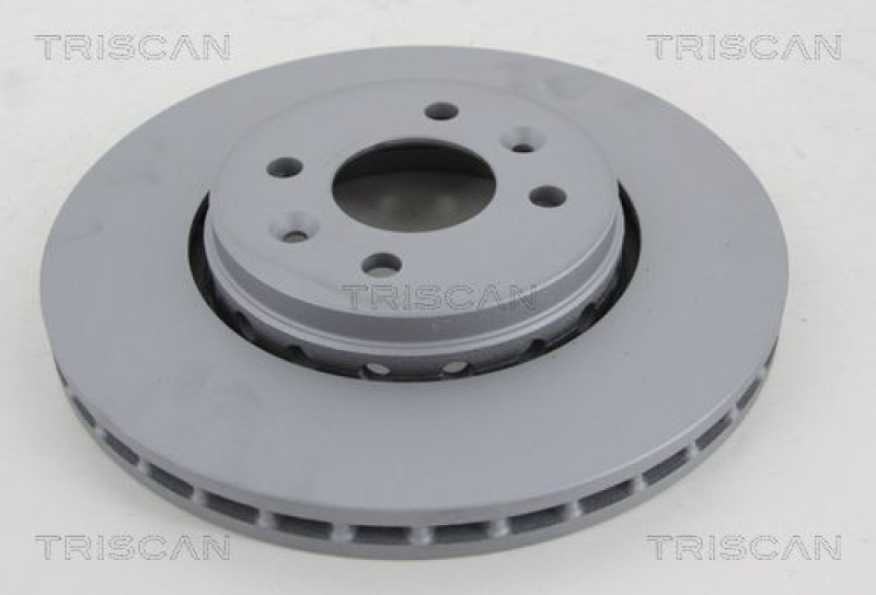 2x TRISCAN Brake Disc COATED