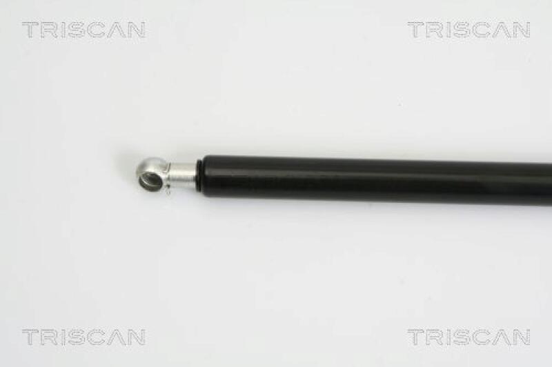 TRISCAN Gas Spring, boot-/cargo area