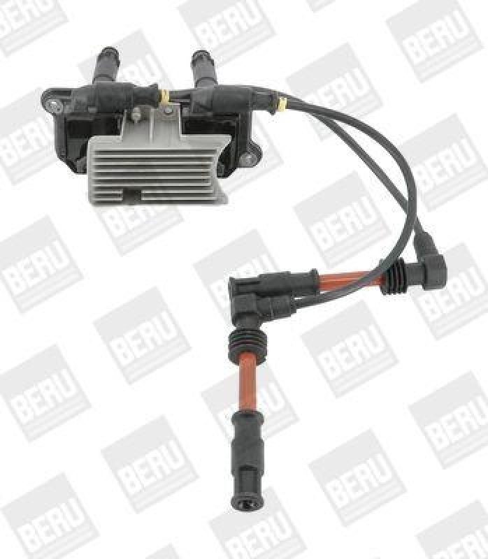 BorgWarner (BERU) Ignition Coil