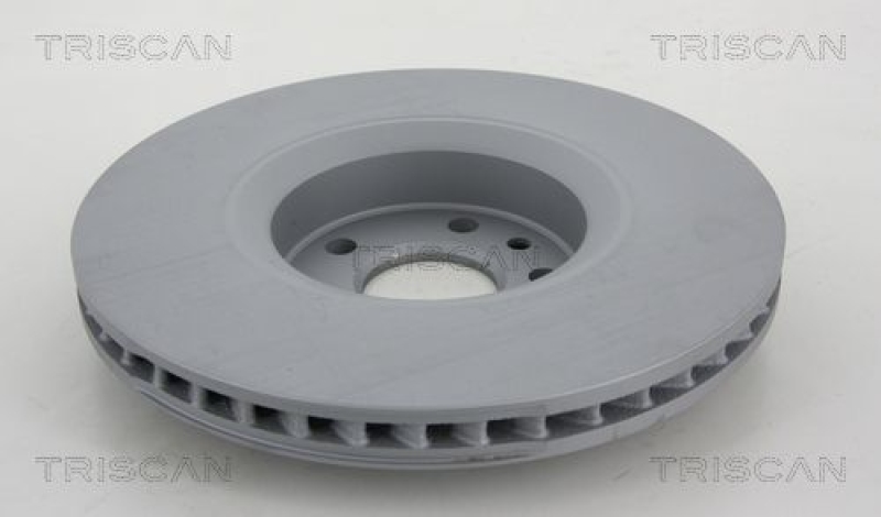 2x TRISCAN Brake Disc COATED