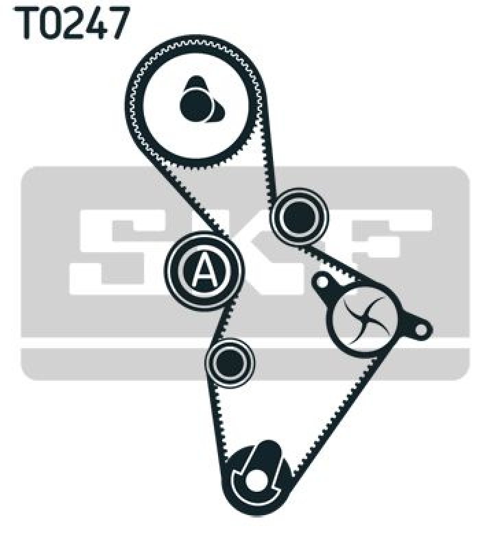 SKF Water Pump & Timing Belt Set