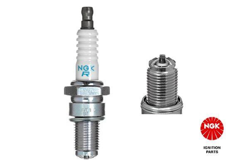 NGK Spark Plug