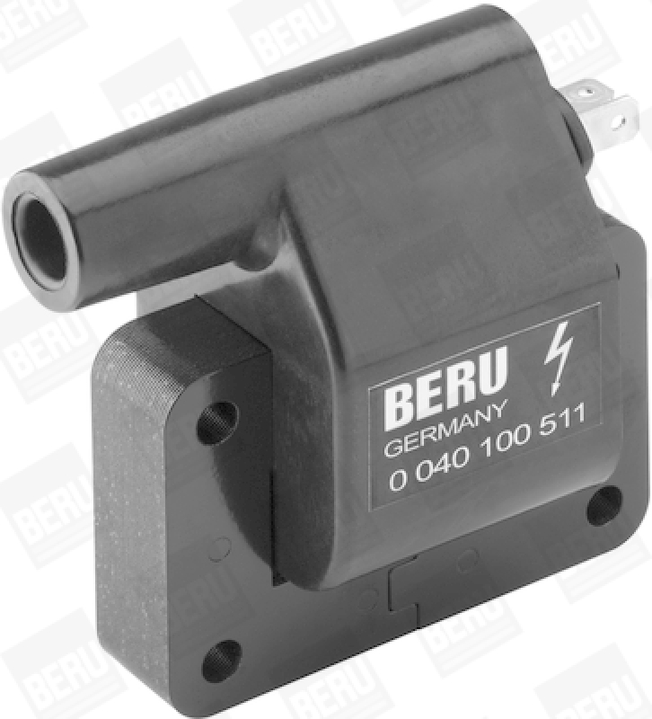 BorgWarner (BERU) Ignition Coil