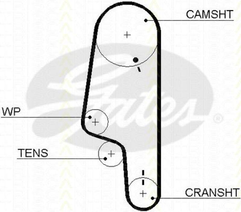 TRISCAN Timing Belt