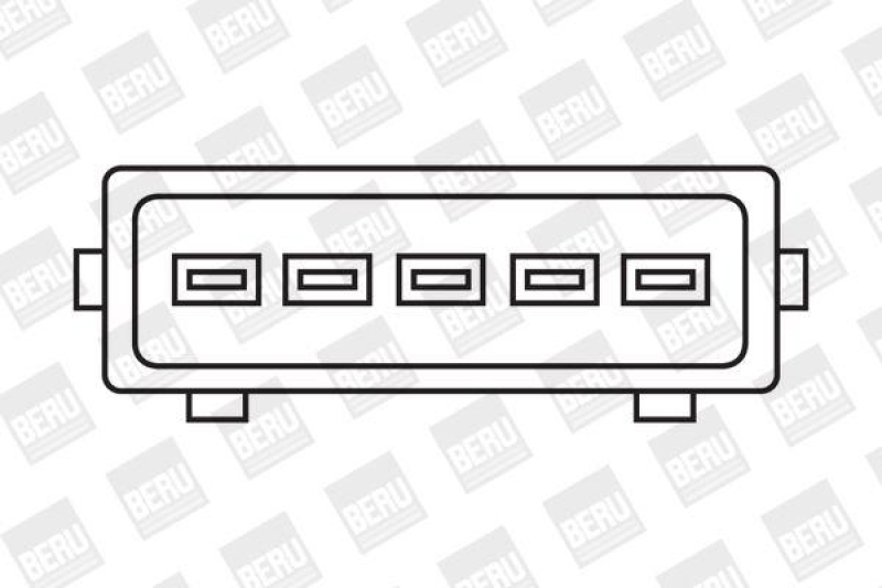 BorgWarner (BERU) Zündspule