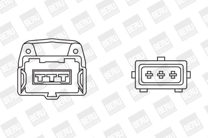 BorgWarner (BERU) Ignition Coil