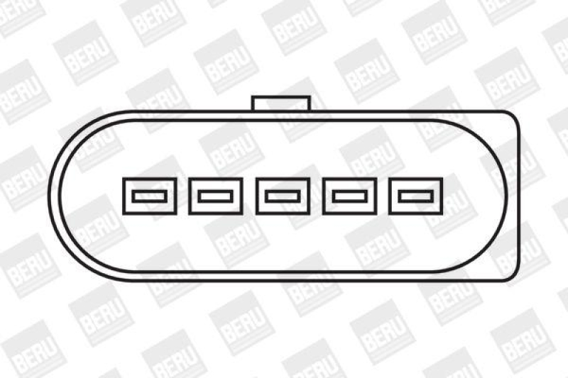 BorgWarner (BERU) Ignition Coil