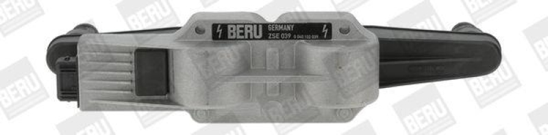 BorgWarner (BERU) Ignition Coil