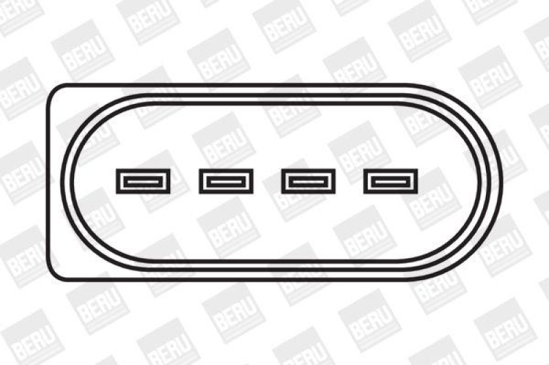 BorgWarner (BERU) Ignition Coil