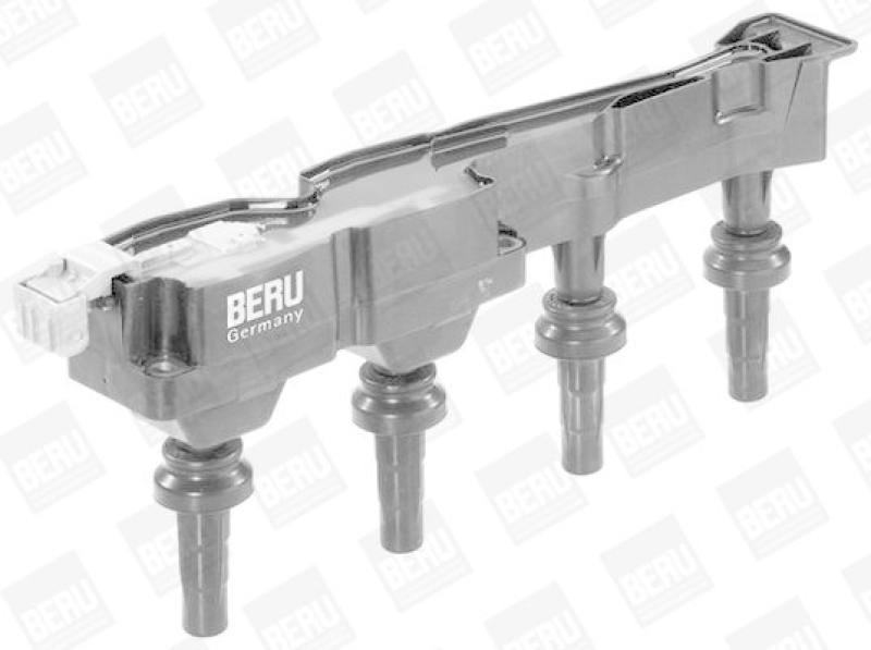 BorgWarner (BERU) Ignition Coil