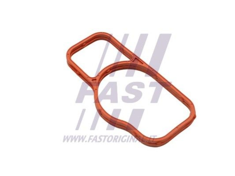 FAST Gasket, water pump