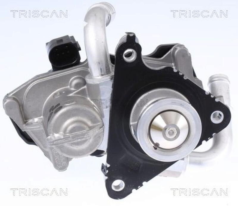 TRISCAN EGR Valve