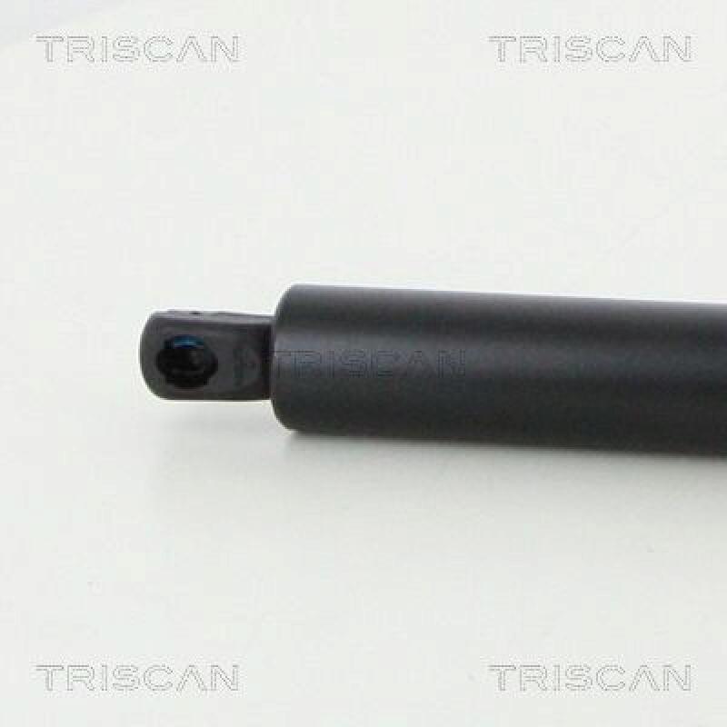 TRISCAN Gas Spring, rear windscreen