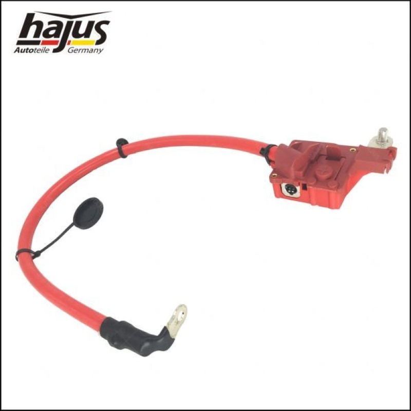 hajus Autoteile Batteriepolklemme