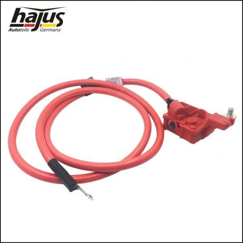 hajus Autoteile Batteriepolklemme