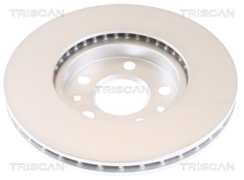 2x TRISCAN Brake Disc