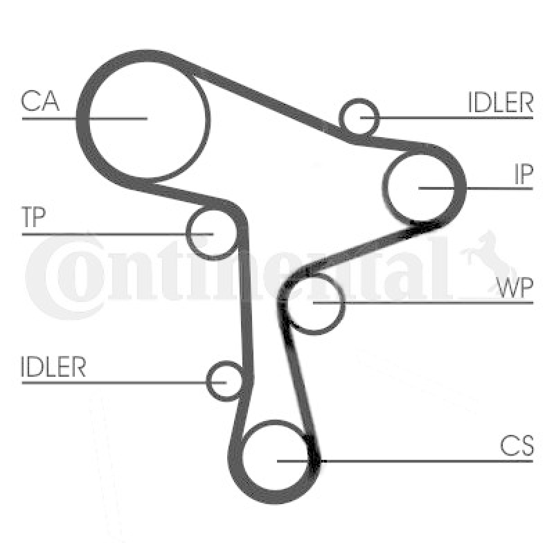 CONTINENTAL CTAM Water Pump & Timing Belt Set