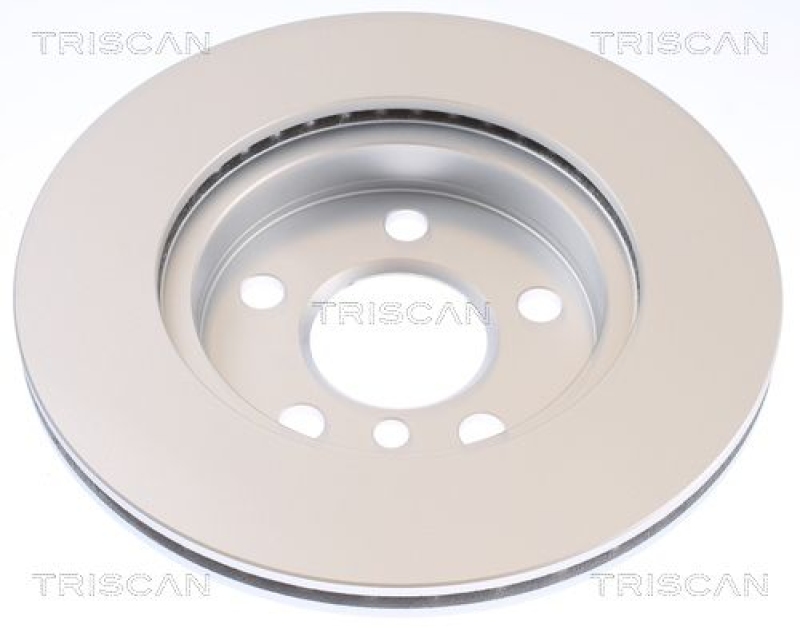 2x TRISCAN Brake Disc