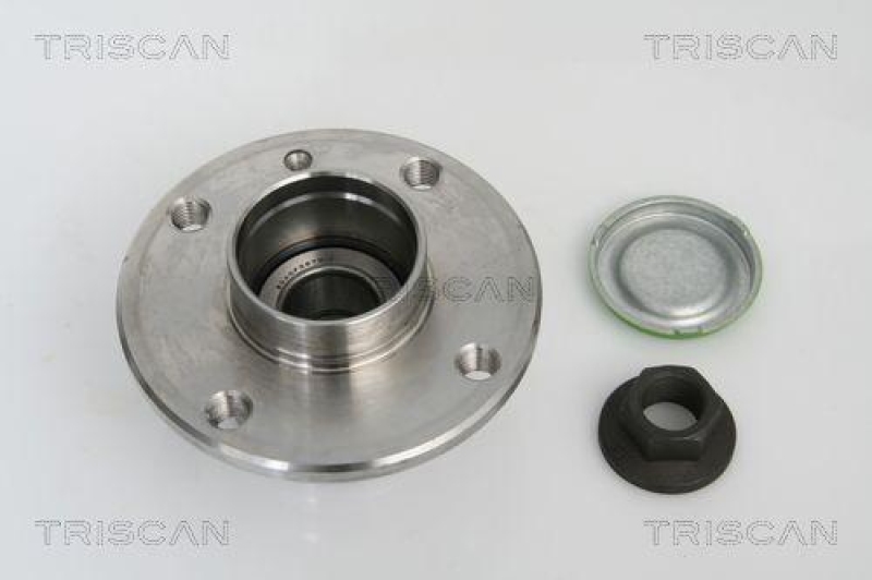 TRISCAN Wheel Bearing Kit