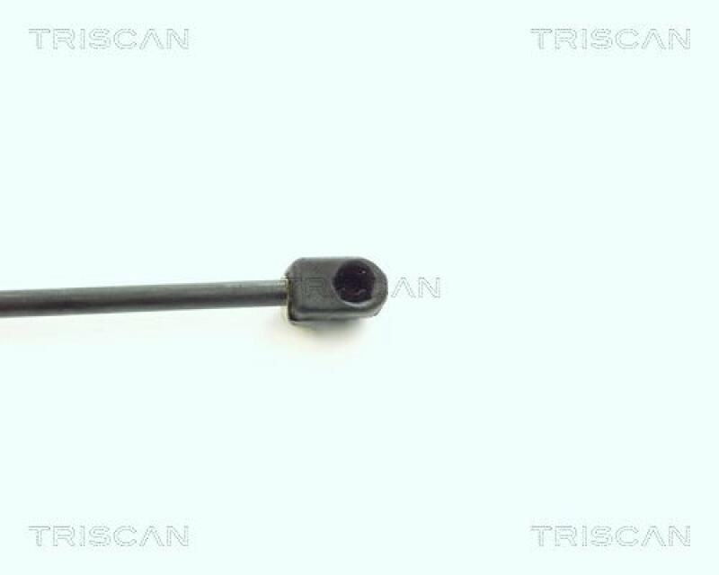 TRISCAN Gas Spring, boot-/cargo area