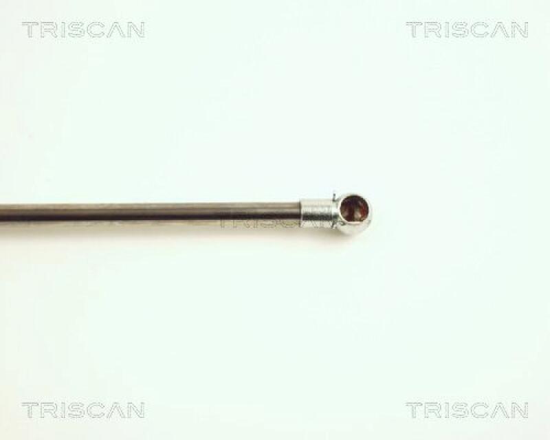 TRISCAN Gas Spring, boot-/cargo area