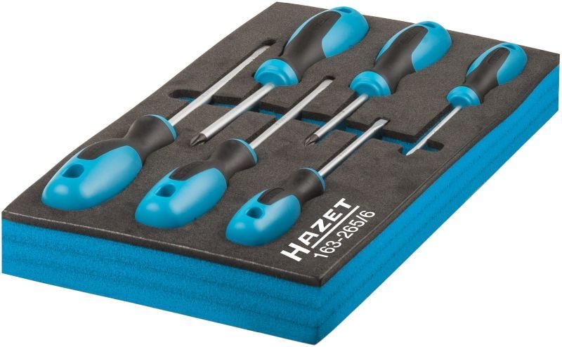 HAZET Screwdriver Set