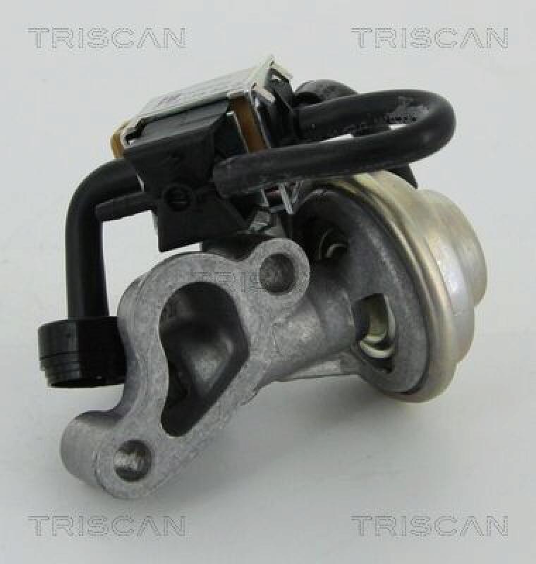 TRISCAN EGR Valve