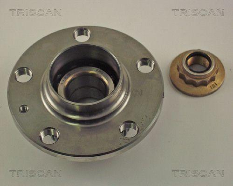 TRISCAN Wheel Bearing Kit