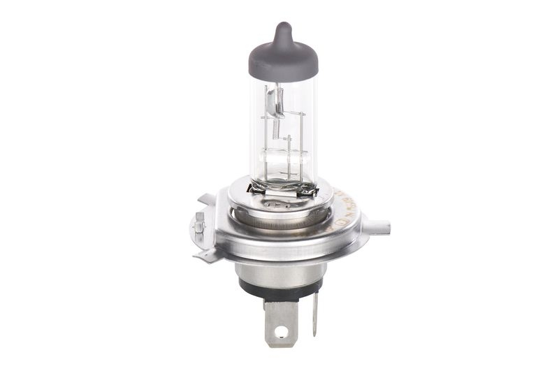 BOSCH Glühlampe, Fernscheinwerfer ECO Plus 100 WS