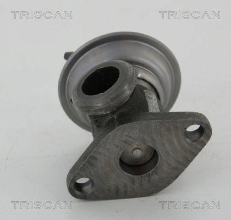 TRISCAN EGR Valve