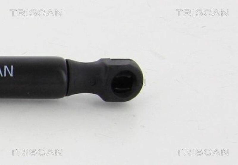 TRISCAN Gasfeder, Motorhaube