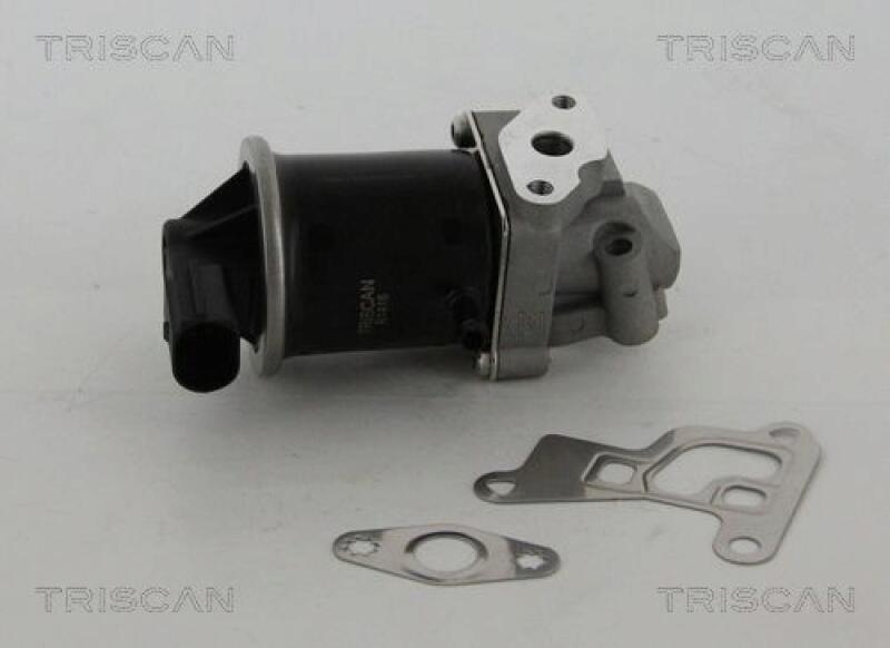 TRISCAN EGR Valve