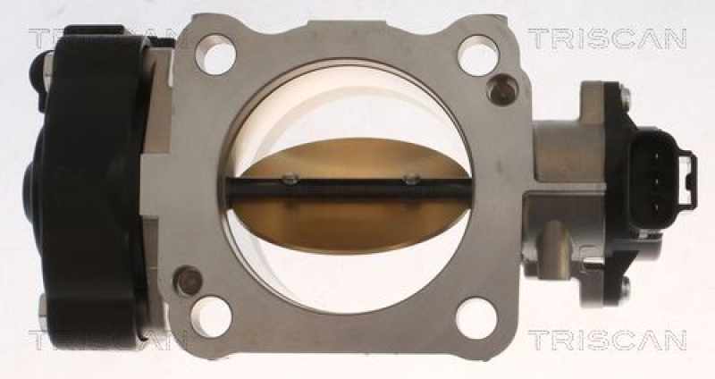 TRISCAN Throttle Body