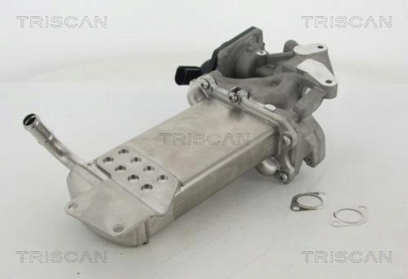 TRISCAN EGR Valve