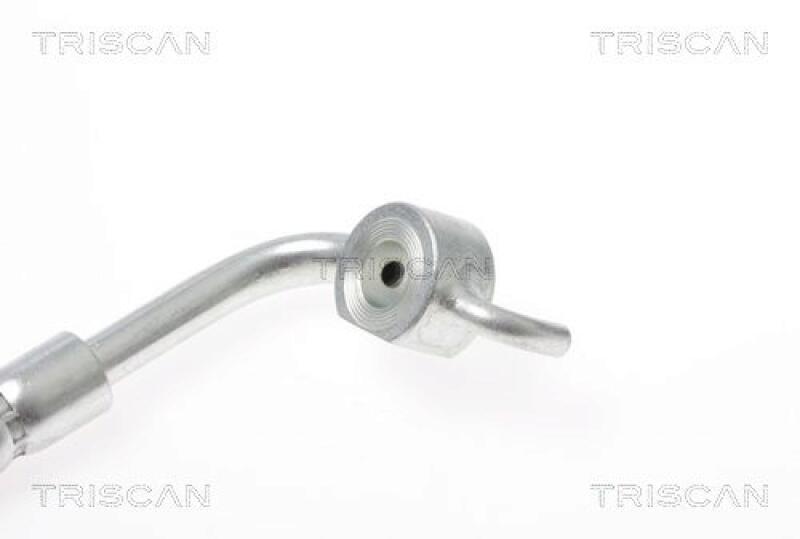 TRISCAN Brake Hose